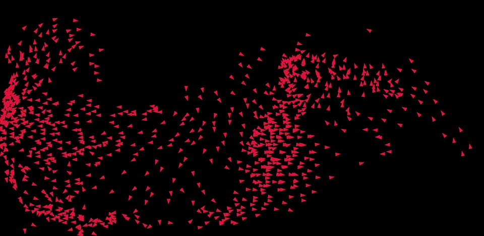 Boids project preview